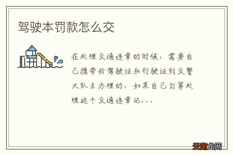 驾驶本罚款怎么交
