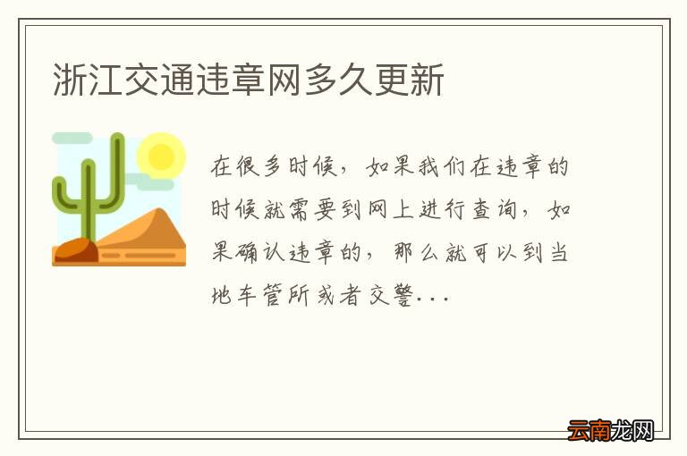 浙江交通违章网多久更新