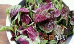 土苋菜怎么做 方法非常简单