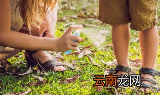 蚊子叮咬后红肿怎么办 蚊子叮咬后红肿严重怎么办