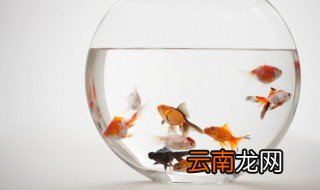 室内加湿小妙招有哪些 卧室加湿小妙招