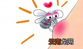 小蚊虫怎么去除 小小的蚊虫要怎么去掉