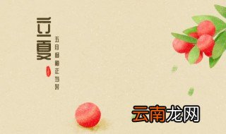 黄精立夏后可以种植吗 黄精立夏后能种植吗