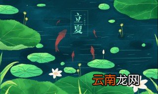 多肉立夏后可以直接种吗 多肉立夏后能直接种吗
