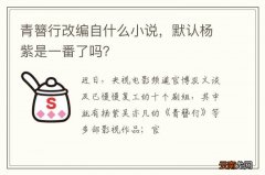 青簪行改编自什么小说，默认杨紫是一番了吗？