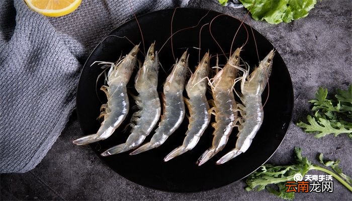盐田大虾属于什么虾 盐田虾是什么虾