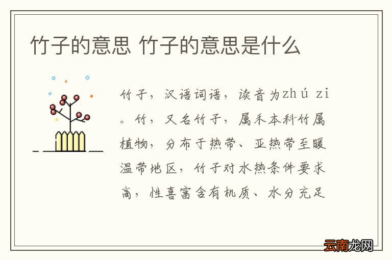 竹子的意思 竹子的意思是什么