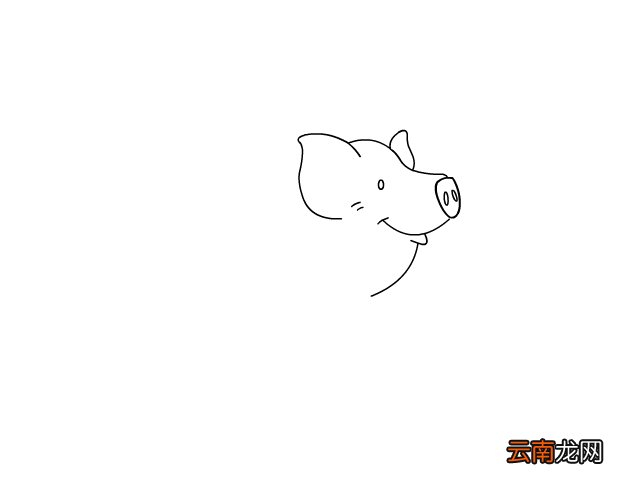 卡通小猪简笔画 卡通小猪简笔画的画法