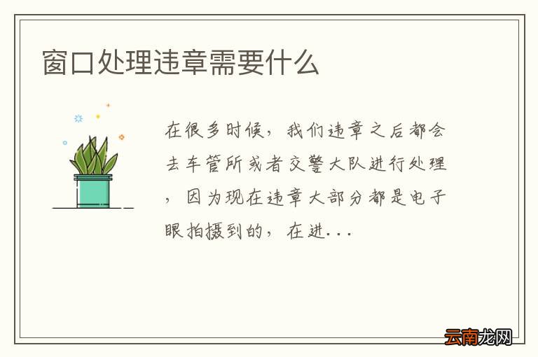窗口处理违章需要什么