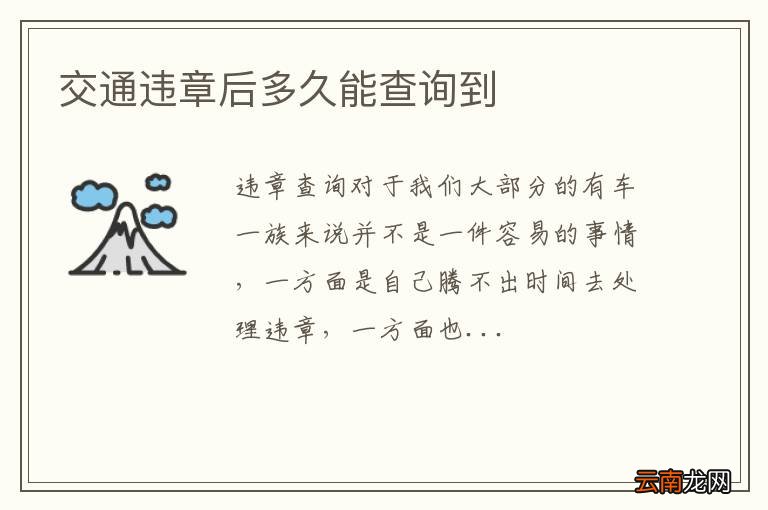 交通违章后多久能查询到