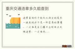 重庆交通违章多久能查到