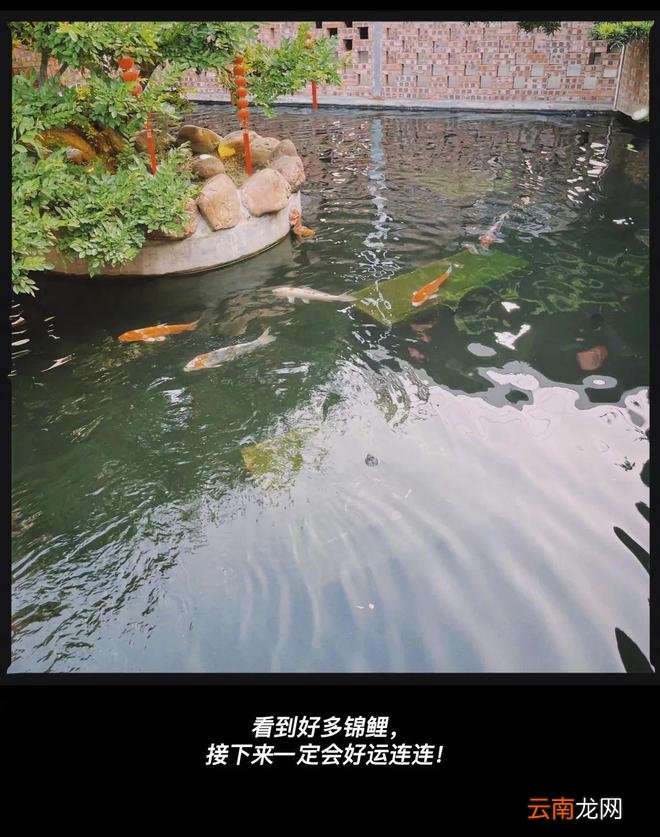 今年利用率最高的衣服，可能是它！