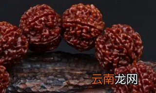 菩提大金刚开裂怎么办 金刚菩提开裂怎么办