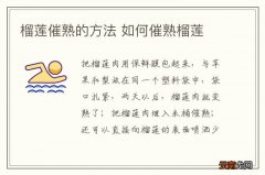 榴莲催熟的方法 如何催熟榴莲