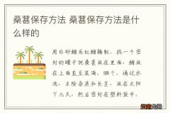 桑葚保存方法 桑葚保存方法是什么样的