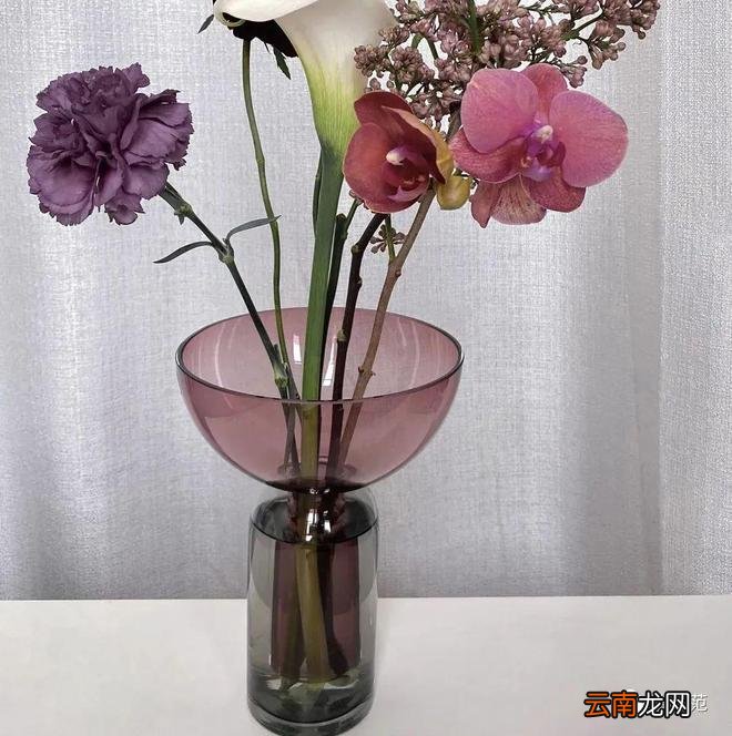 60件年度居家好物 宅家每一天都有小确幸