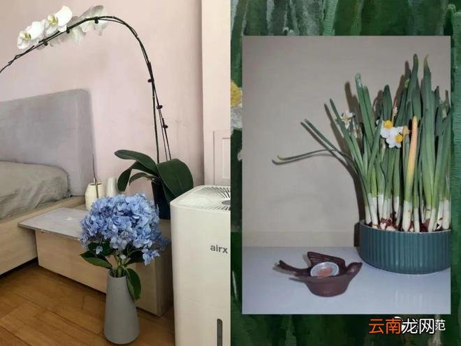 60件年度居家好物 宅家每一天都有小确幸