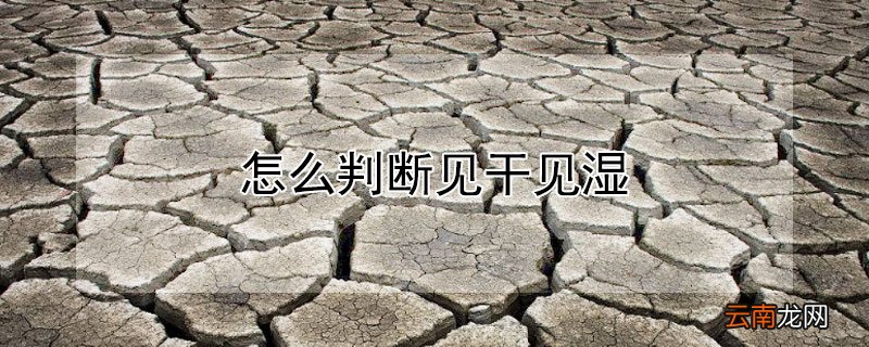 怎么判断见干见湿