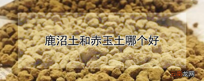 鹿沼土和赤玉土哪个好