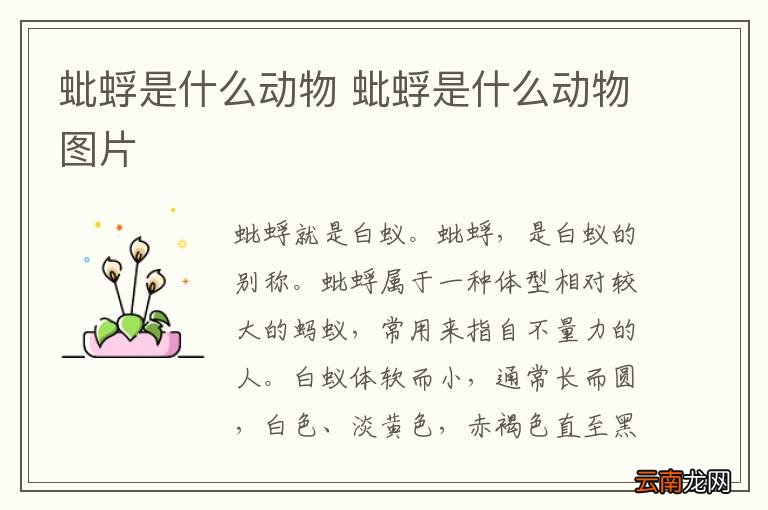 蚍蜉是什么动物 蚍蜉是什么动物图片