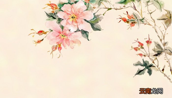描写烟草花开放的句子 描写烟草花开放的样子