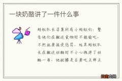 一块奶酪讲了一件什么事