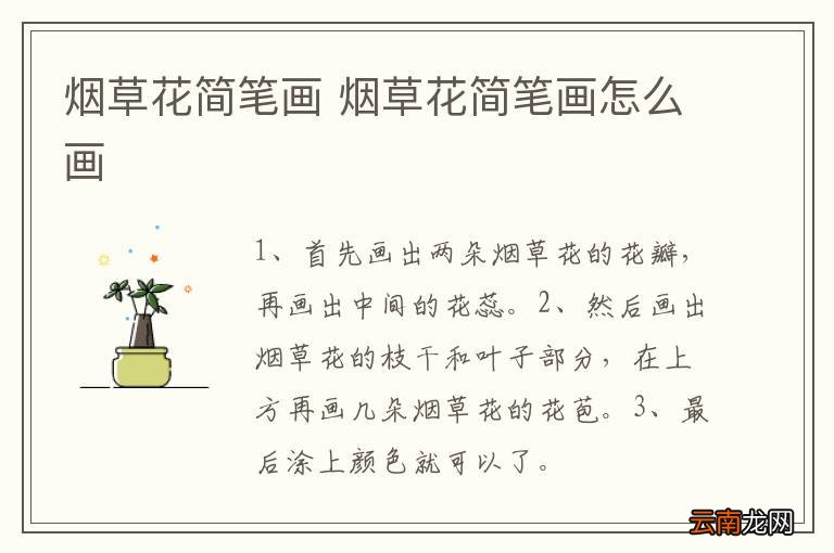 烟草花简笔画 烟草花简笔画怎么画