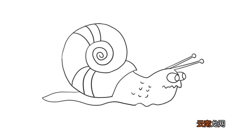 小蜗牛简笔画 小蜗牛简笔画怎么画