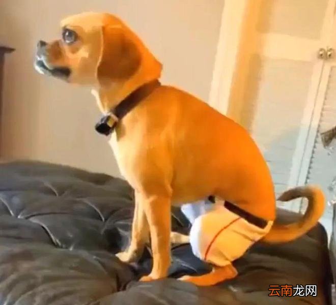矮个子女生最恨的流行 怎么又来了