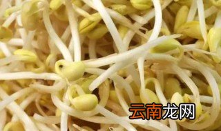 如何防止芽苗菜发霉，种植花生芽苗菜为何发霉