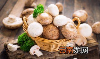 鲜蘑怎么保存新鲜不烂 鲜蘑怎么保存