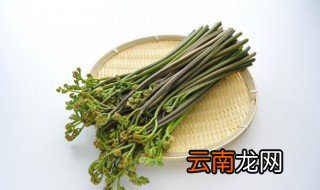 新鲜山野菜怎么保存 野菜怎么保存