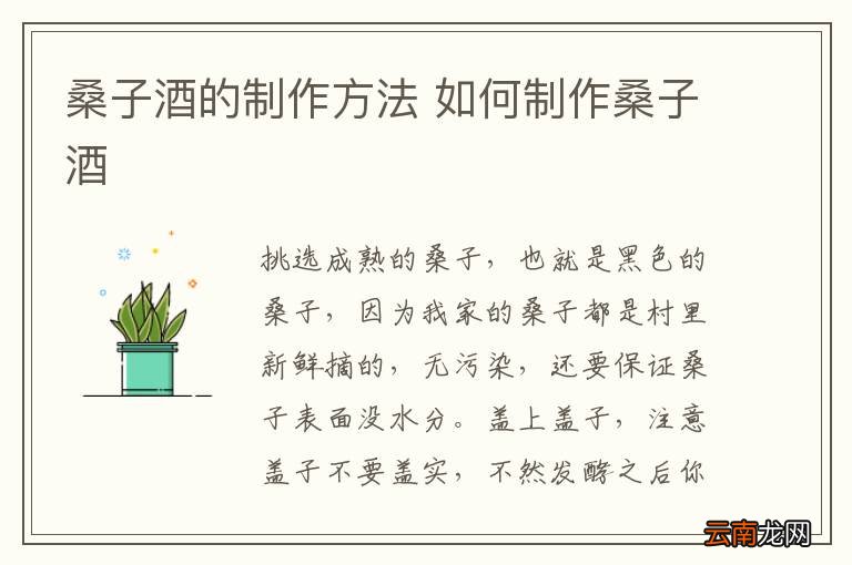 桑子酒的制作方法 如何制作桑子酒