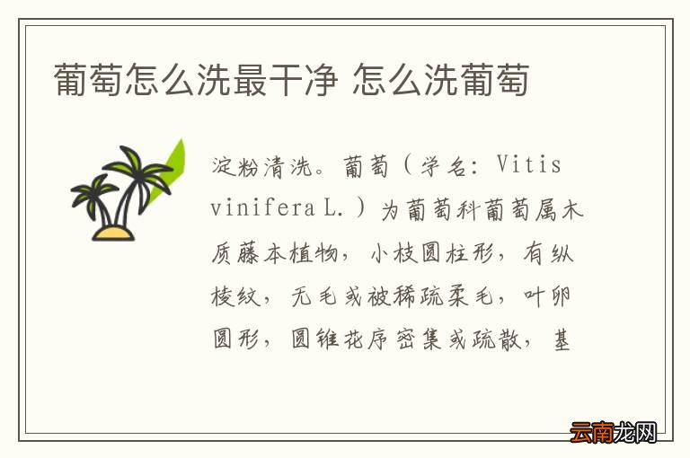 葡萄怎么洗最干净 怎么洗葡萄