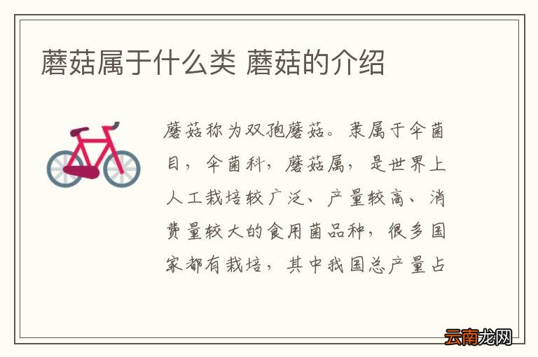 蘑菇属于什么类 蘑菇的介绍