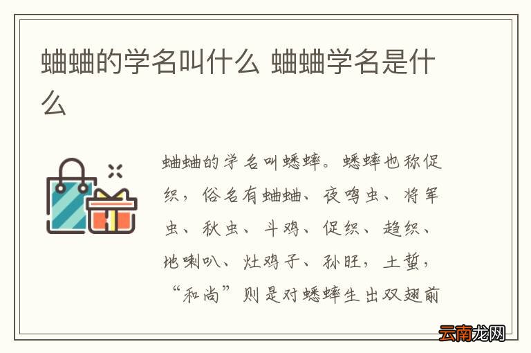 蛐蛐的学名叫什么 蛐蛐学名是什么