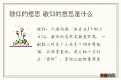敬仰的意思 敬仰的意思是什么