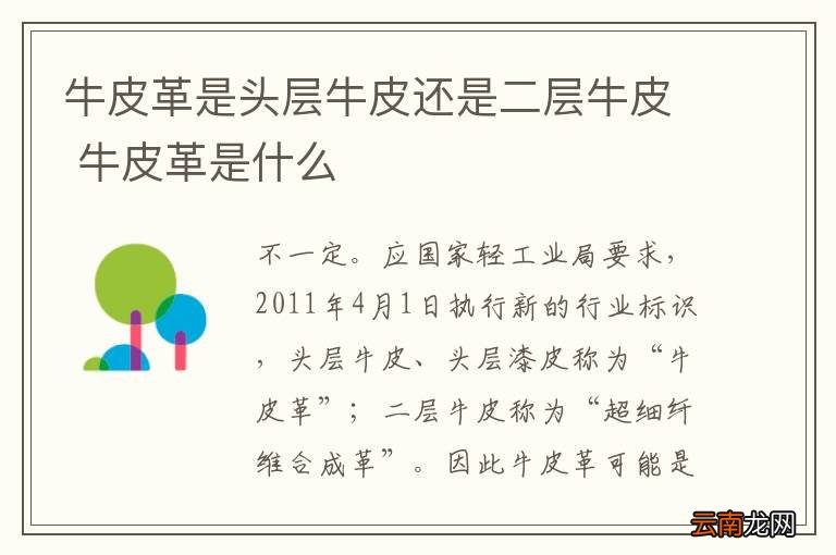 牛皮革是头层牛皮还是二层牛皮 牛皮革是什么