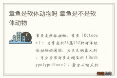 章鱼是软体动物吗 章鱼是不是软体动物