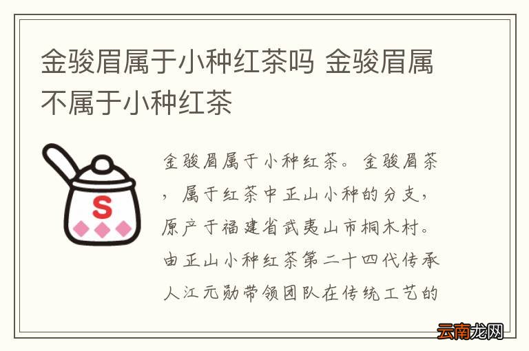金骏眉属于小种红茶吗 金骏眉属不属于小种红茶