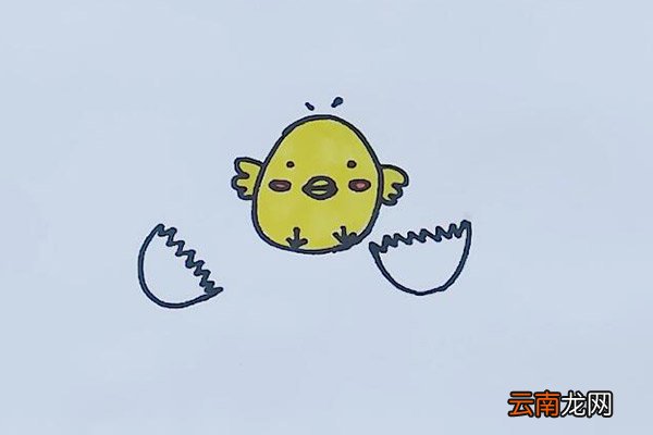 小鸡简笔画 小鸡怎么画