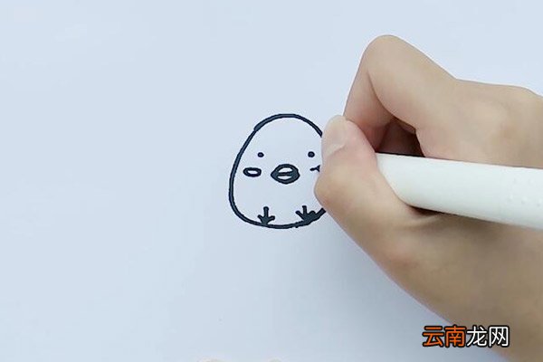 小鸡简笔画 小鸡怎么画