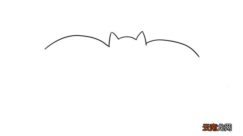 蝙蝠简笔画画法教程