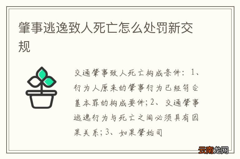 肇事逃逸致人死亡怎么处罚新交规