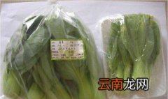 青菜保鲜方法 青菜保鲜的详细步骤