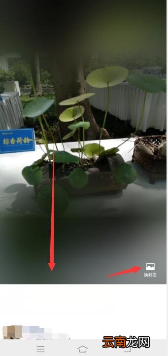 怎么把朋友圈背景墙恢复默认