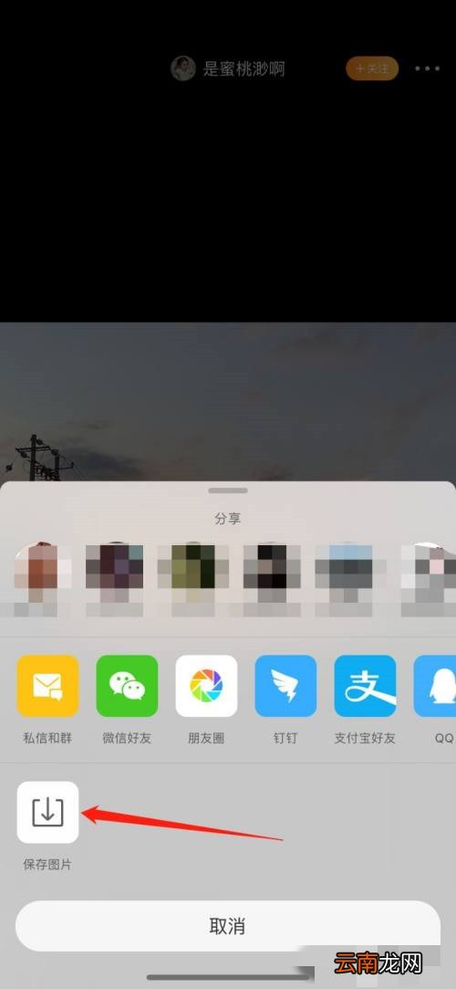 微博国际版的live图怎么保存