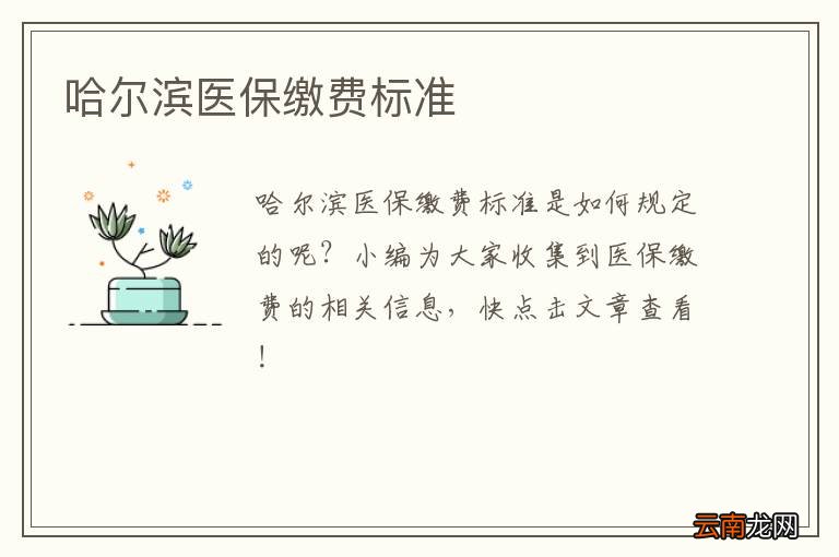 哈尔滨医保缴费标准