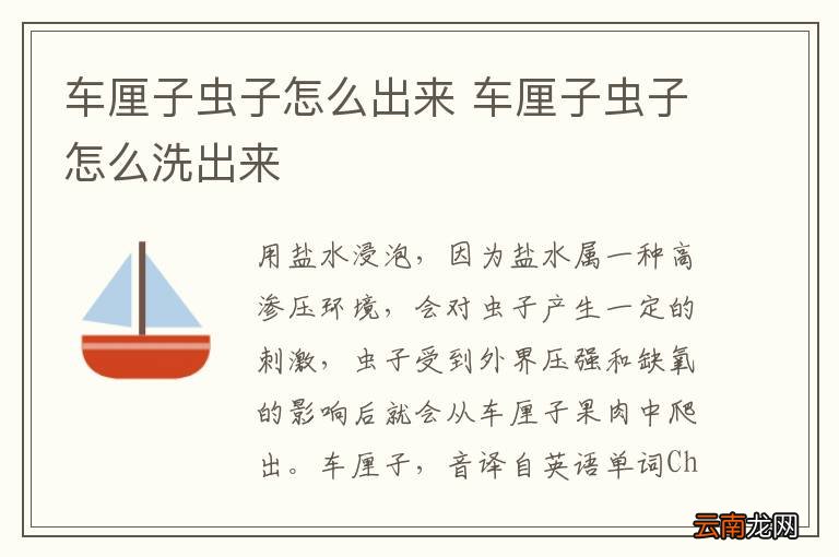 车厘子虫子怎么出来 车厘子虫子怎么洗出来