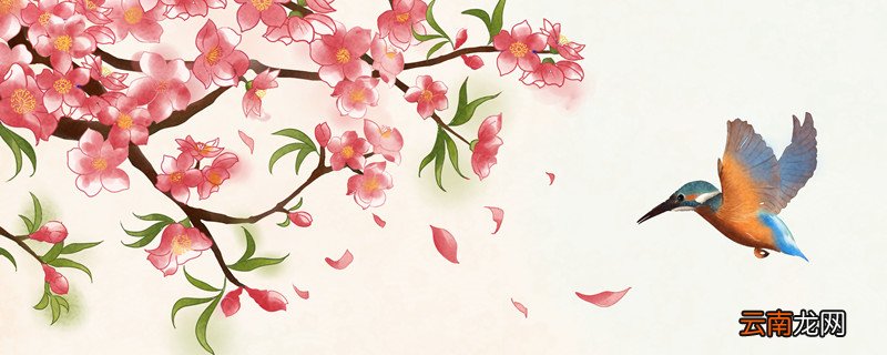 百灵鸟叫声怎么形容 百灵鸟的叫声怎么形容